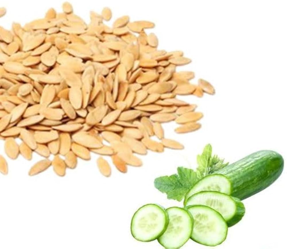 CUCUMBER SEED ORGANIC